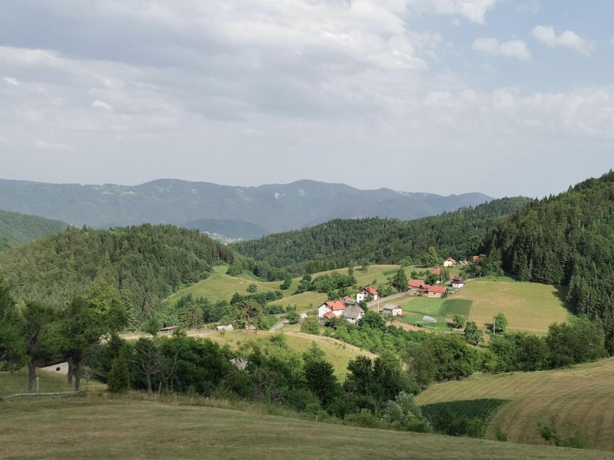 Planinski Mir *