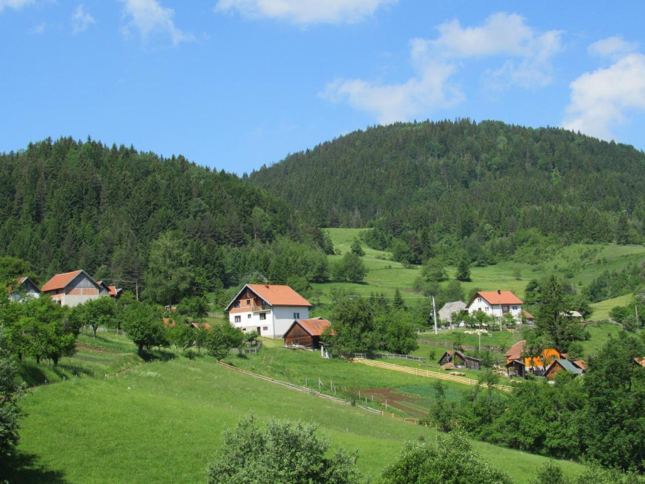 Planinski Mir Zaovine