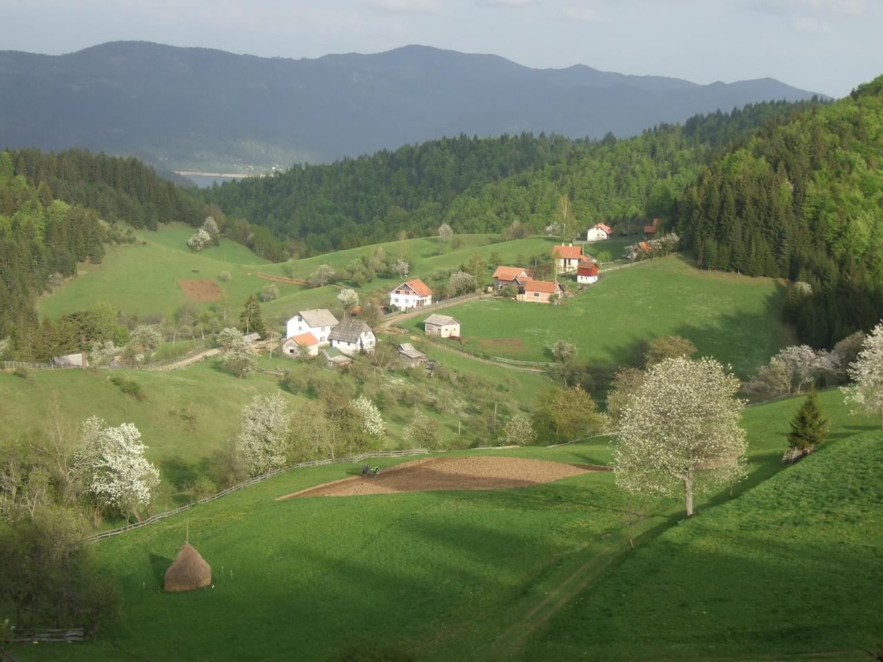 Planinski Mir