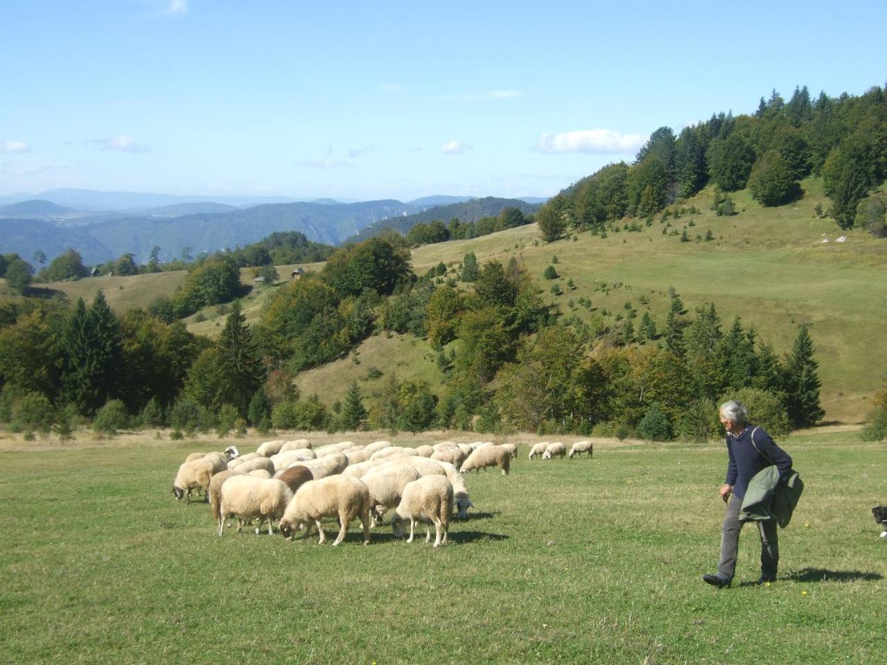 Planinski Mir * Zaovine
