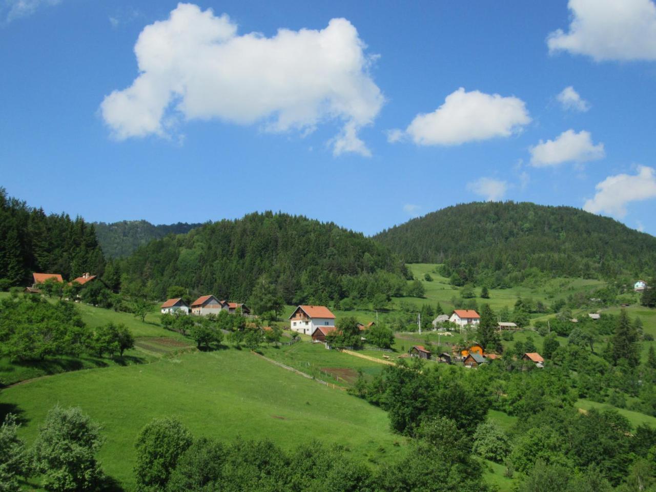 Planinski Mir *